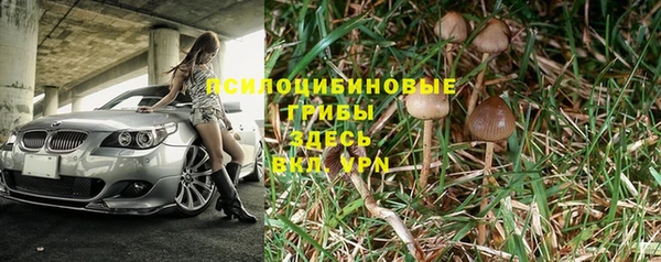2c-b Арсеньев