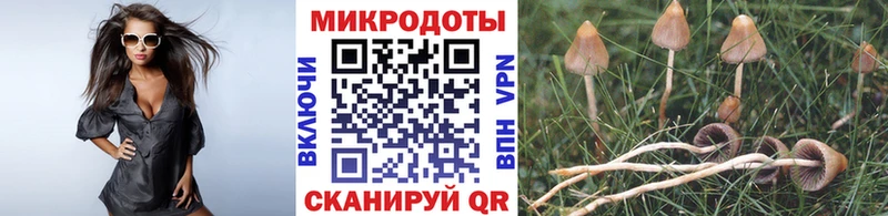 Галлюциногенные грибы ЛСД  Нововоронеж 